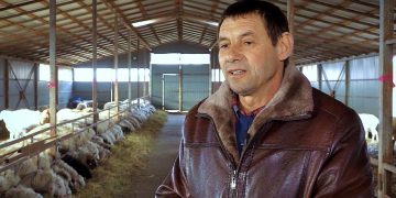 GOSPODARI ACASA | ANDREI ȚURCAN  21.02.2020