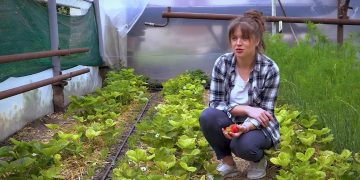 GOSPODARI ACASA | ANASTASIA OLEINIC 05.06.2020