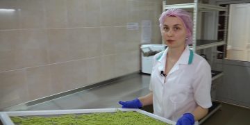 GOSPODARI ACASA | AFACERE CU TĂIȚEI 03.07.2020