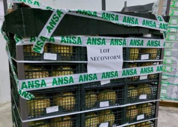 Două tone de pepene galben, scos din comerț de ANSA! Ce nereguli au fost depistate